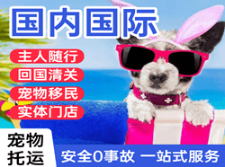 秦皇岛北戴河机场快运国际宠物托运 【国
